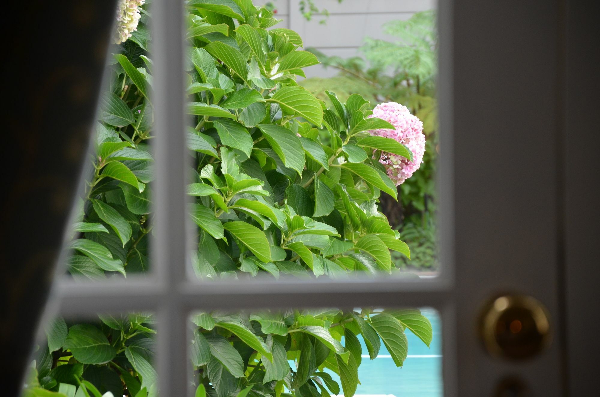 22 Die Laan Guest House Stellenbosch Ngoại thất bức ảnh